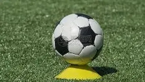 6686体育 资讯 091149 x1b