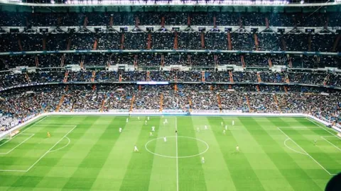 巅峰对决在即！王楚钦独守一方，王曼昱孙颖莎争霸分区，混双搭档同台竞技，精彩不容错过！